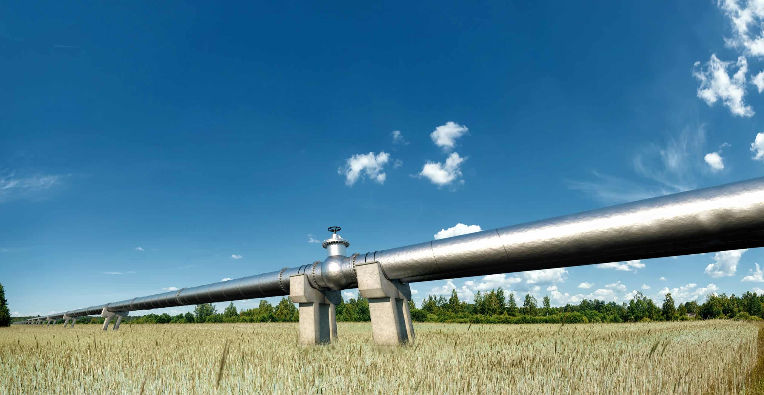 Oil and gas business taking on larger contracts