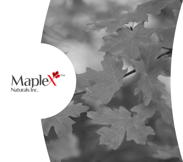 MapleX logo